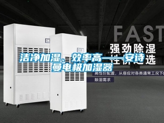 企業(yè)新聞潔凈加濕、效率高——安詩曼電極加濕器