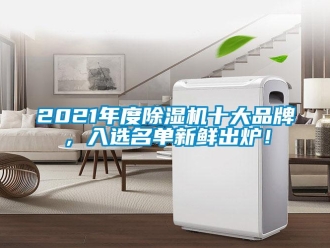 企業(yè)新聞2021年度除濕機十大品牌，入選名單新鮮出爐！