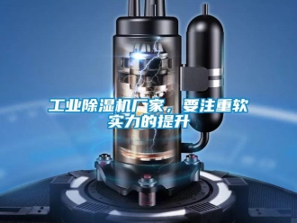 企業(yè)新聞工業(yè)除濕機(jī)廠家，要注重軟實(shí)力的提升