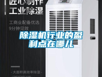 企業(yè)新聞除濕機(jī)行業(yè)的盈利點(diǎn)在哪兒