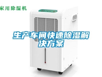 知識(shí)百科生產(chǎn)車間快速除濕解決方案
