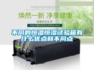 知識(shí)百科不同的恒溫恒濕試驗(yàn)箱有什么優(yōu)點(diǎn)和不同點(diǎn)