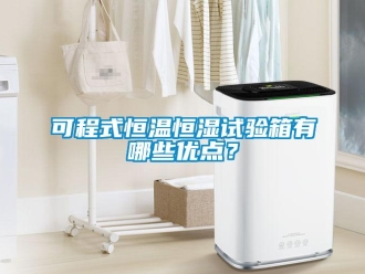 知識百科可程式恒溫恒濕試驗箱有哪些優(yōu)點？