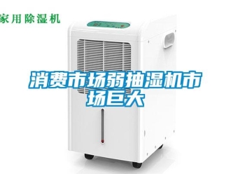 知識百科消費(fèi)市場弱抽濕機(jī)市場巨大