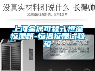 知識(shí)百科上海金屬可程式恒溫恒濕箱-恒溫恒濕試驗(yàn)箱
