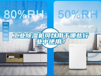 企業(yè)新聞工業(yè)除濕機(jī)可以用于哪些行業(yè)中使用？