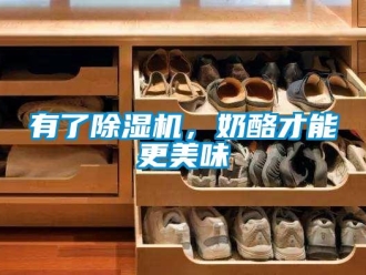 知識百科有了除濕機，奶酪才能更美味