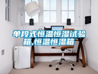 知識百科單段式恒溫恒濕試驗箱,恒溫恒濕箱