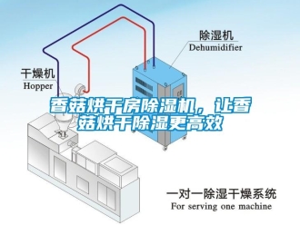 知識(shí)百科香菇烘干房除濕機(jī)，讓香菇烘干除濕更高效