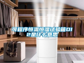 知識(shí)百科可程序恒溫恒濕試驗(yàn)箱DI2是什么意思