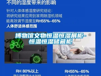 知識百科博物館文物恒溫恒濕展柜-恒溫恒濕儲藏柜