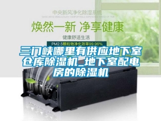 企業(yè)新聞三門峽哪里有供應地下室倉庫除濕機_地下室配電房的除濕機