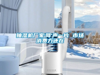 企業(yè)新聞抽濕機(jī)廠家'降'聲一片 市場消費(fèi)力還在