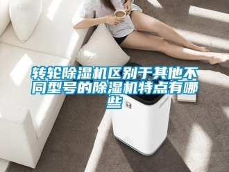 知識(shí)百科轉(zhuǎn)輪除濕機(jī)區(qū)別于其他不同型號(hào)的除濕機(jī)特點(diǎn)有哪些