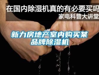 知識百科新力房地產(chǎn)室內(nèi)購買某品牌除濕機