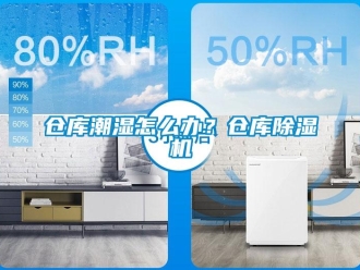 企業(yè)新聞倉(cāng)庫(kù)潮濕怎么辦？倉(cāng)庫(kù)除濕機(jī)