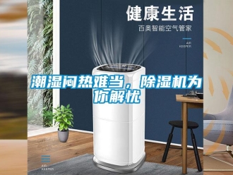 企業(yè)新聞潮濕悶熱難當(dāng)，除濕機(jī)為你解憂