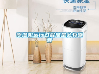 企業(yè)新聞除濕機(jī)運(yùn)行過程總是會有噪音