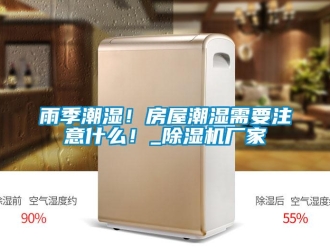 知識百科雨季潮濕！房屋潮濕需要注意什么！_除濕機廠家