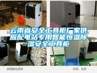 知識(shí)百科云南省安全工具柜廠家供應(yīng)配電站專用智能恒溫除濕安全工具柜