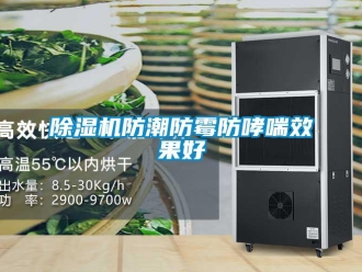 企業(yè)新聞除濕機防潮防霉防哮喘效果好