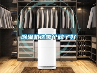 企業(yè)新聞除濕機(jī)選哪個牌子好
