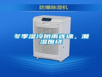 企業(yè)新聞冬季濕冷陰雨連綿，潮濕圍繞