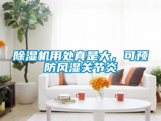 企業(yè)新聞除濕機(jī)用處真是大，可預(yù)防風(fēng)濕關(guān)節(jié)炎