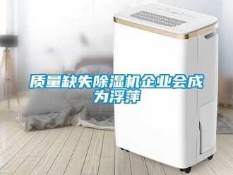 知識百科質(zhì)量缺失除濕機(jī)企業(yè)會成為浮萍