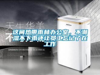 知識(shí)百科這間熱帶雨林辦公室，不潮濕不下雨還讓員工忘記了在工作