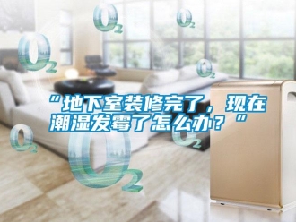 企業(yè)新聞“地下室裝修完了，現(xiàn)在潮濕發(fā)霉了怎么辦？”