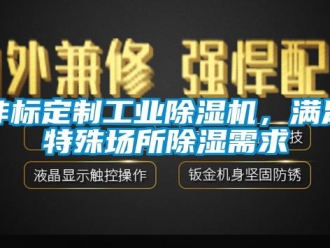 企業(yè)新聞非標定制工業(yè)除濕機，滿足特殊場所除濕需求