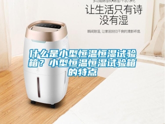 知識百科什么是小型恒溫恒濕試驗箱？小型恒溫恒濕試驗箱的特點
