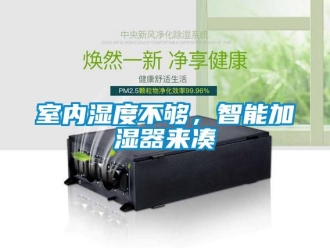 知識百科室內(nèi)濕度不夠，智能加濕器來湊