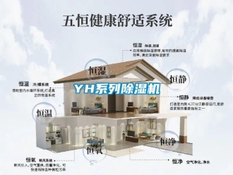 企業(yè)新聞YH系列除濕機(jī)