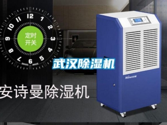 知識(shí)百科武漢除濕機(jī)