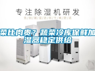 企業(yè)新聞菜比肉貴？蔬菜冷庫保鮮加濕器穩(wěn)定供給