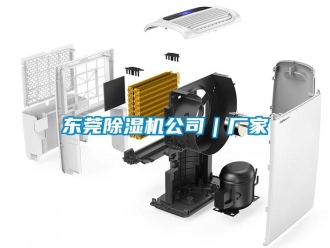 企業(yè)新聞東莞除濕機(jī)公司｜廠家