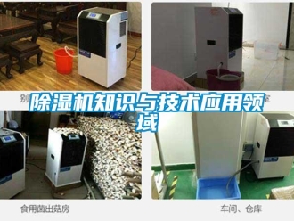 企業(yè)新聞除濕機知識與技術(shù)應用領(lǐng)域
