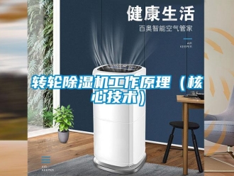 知識百科轉(zhuǎn)輪除濕機(jī)工作原理（核心技術(shù)）