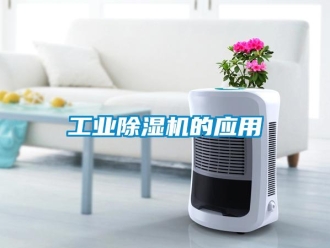 企業(yè)新聞工業(yè)除濕機(jī)的應(yīng)用