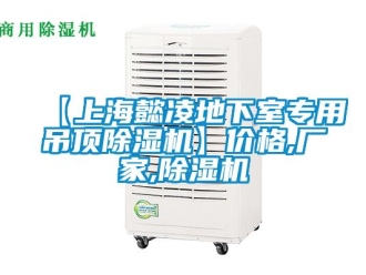 企業(yè)新聞【上海懿凌地下室專用吊頂除濕機(jī)】價格,廠家,除濕機(jī)