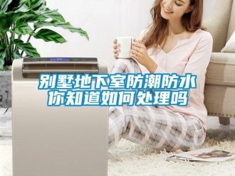 企業(yè)新聞別墅地下室防潮防水你知道如何處理嗎