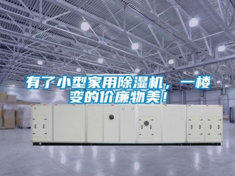 知識(shí)百科有了小型家用除濕機(jī)，一樓變的價(jià)廉物美！