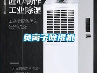 企業(yè)新聞負(fù)離子除濕機(jī)