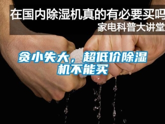 知識百科貪小失大，超低價除濕機(jī)不能買