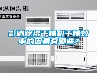 知識百科影響除濕干燥機干燥效率的因素有哪些？