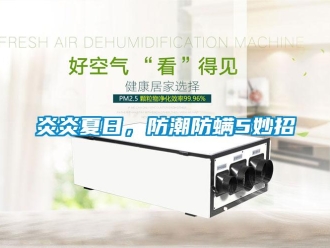 知識百科炎炎夏日，防潮防螨5妙招