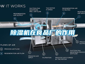 企業(yè)新聞除濕機(jī)在食品廠的作用