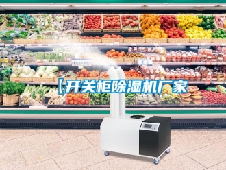 企業(yè)新聞【開關(guān)柜除濕機(jī)廠家